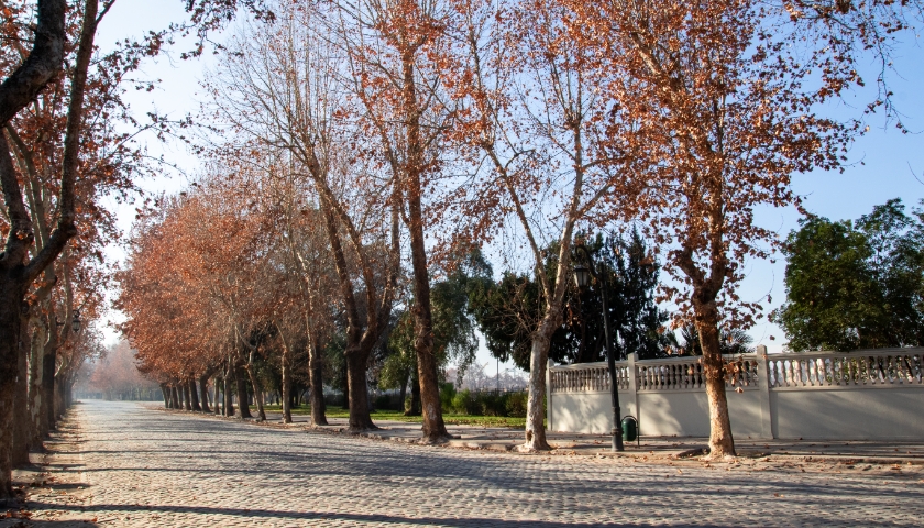 Galeria 1